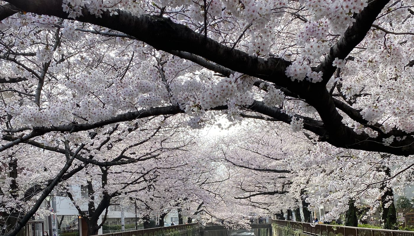 中目黒駅, Tokyo